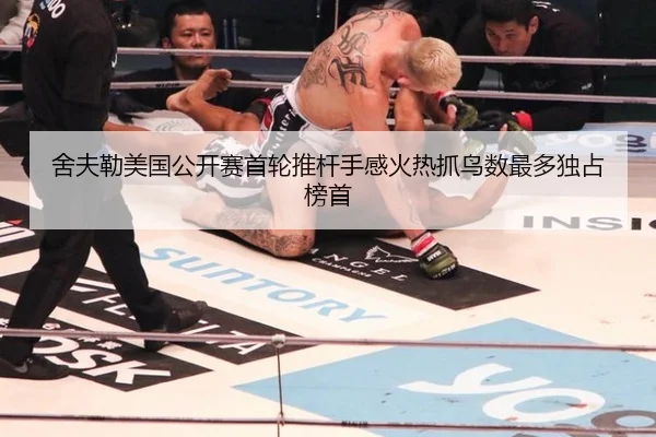 she-fu-lei-mei-guo-gong-kai-sai-shou-lun-tui-gan-shou-gan-huo-re-zhua-niao-shu-zui-duo-du-zhan-bang-shou-2-162.jpg