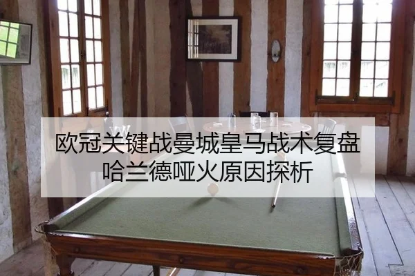 ou-guan-guan-jian-zhan-man-cheng-huang-ma-zhan-shu-fu-pan-ha-lan-de-ya-huo-yuan-yin-tan-xi-3-184.jpg