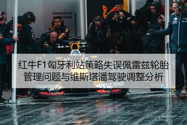 hong-niu-xiong-ya-li-zhan-ce-lve-shi-wu-pei-lei-zi-lun-tai-guan-li-wen-ti-yu-wei-si-ta-pan-jia-shi-tiao-zheng-fen-xi-3-569.jpg