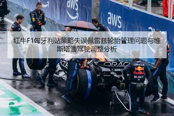 红牛F1匈牙利站策略失误佩雷兹轮胎管理问题与维斯塔潘驾驶调整分析